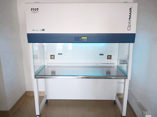 ���������_