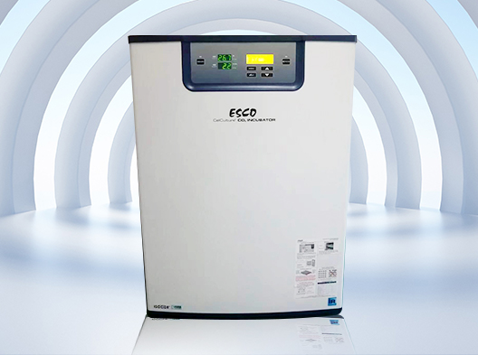 ������̼���B��